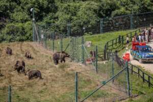 Lunch time at Libearty