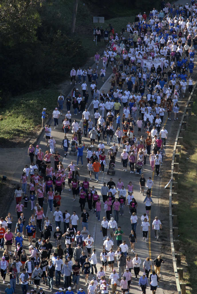 Making Strides Against Breast Cancer