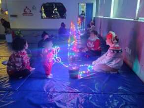 Christmas & Lights