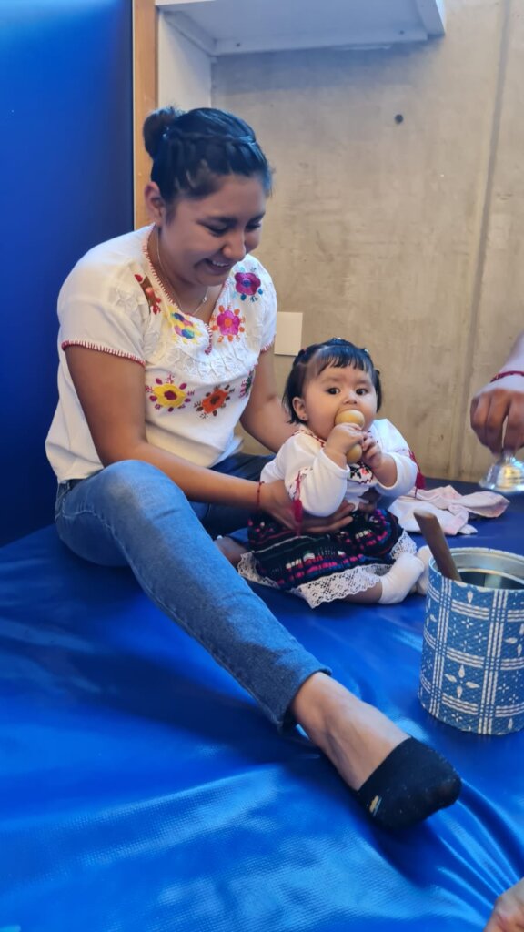 The importance of the first 1000 days of life, Mex