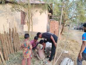 Young members are planting trees themselves-1