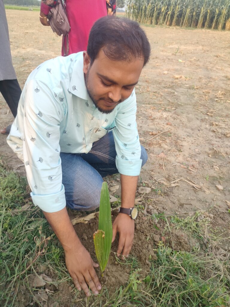 Volunteer members are planting trees