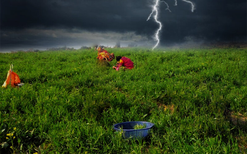 Safe life from the thunderstorms with plants