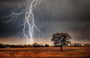 Safe life from the thunderstorms with plants