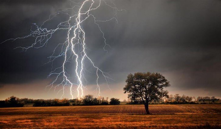Safe life from the thunderstorms with plants