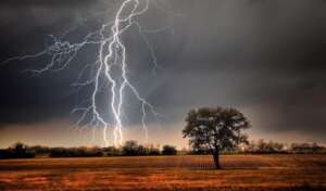 Safe life from the thunderstorms with plants