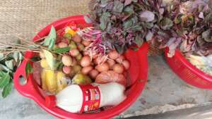 Nutritious food distribution preparation ongoing