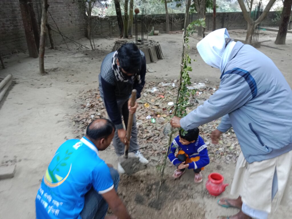 Plantation a tree