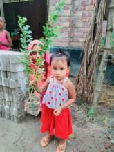 Gifting a Tree for new born baby