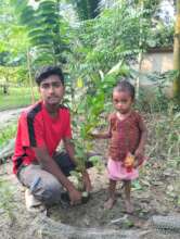 Planting a tree for newborn in their home state