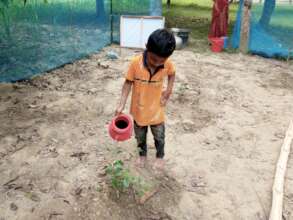 Child take care his tree