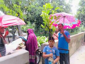 GCO team distribution tree on rainy season