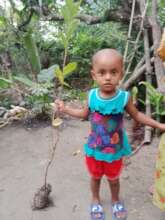 New born baby receive a tree