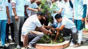 Tree plantation launched with Govt Officer and GCO