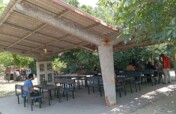 Shed Library in Park - Girls Read to Succeed