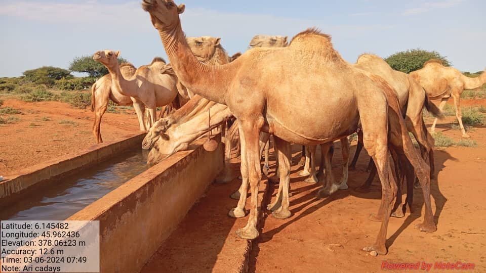 Help end perennial water scarcity for 800 families
