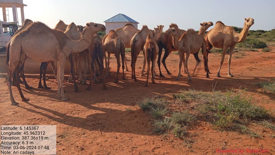 Help end perennial water scarcity for 800 families