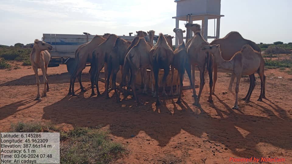 Help end perennial water scarcity for 800 families