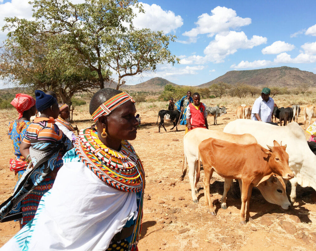 Help Kenyan Pastoralists Build Climate Resilience