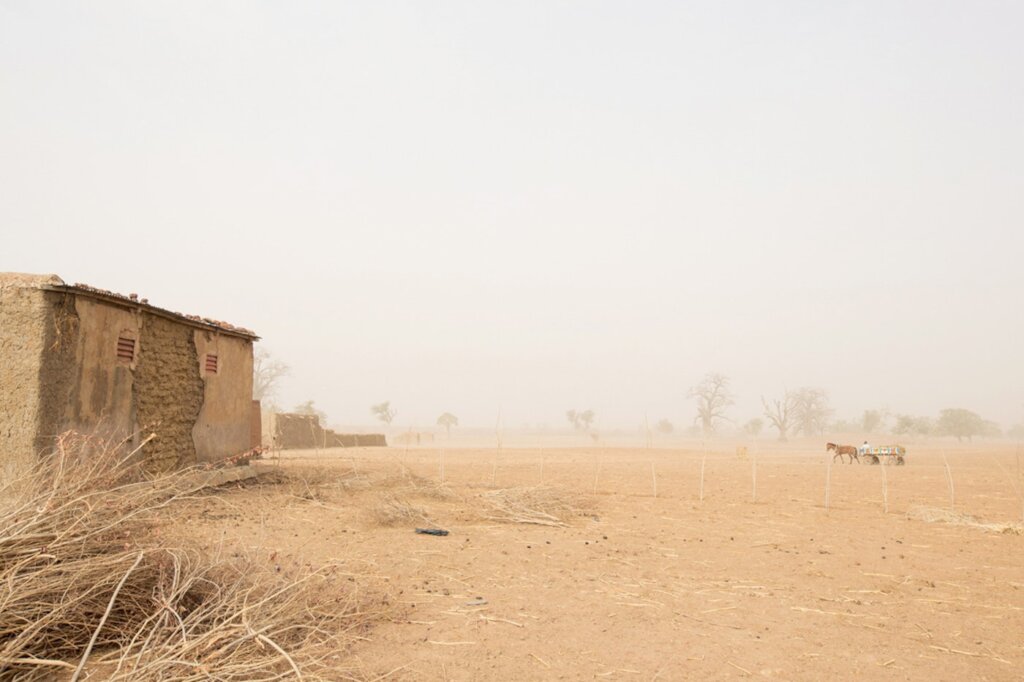 Green Zamfara Initiative -Plan One Million Tree