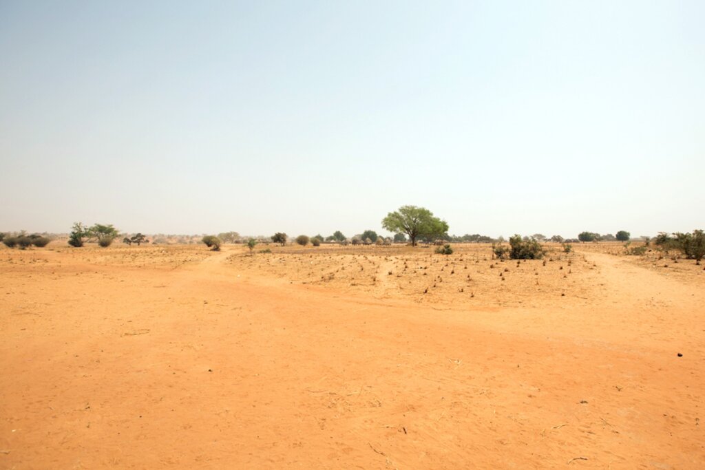 Green Zamfara Initiative -Plan One Million Tree