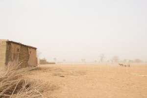 Green Zamfara Initiative -Plan One Million Tree
