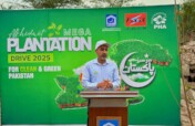 "Plant a Tree in Pakistan for $1"