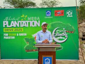 "Plant a Tree in Pakistan for $1"
