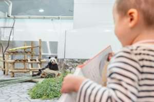 Adventure World Visit