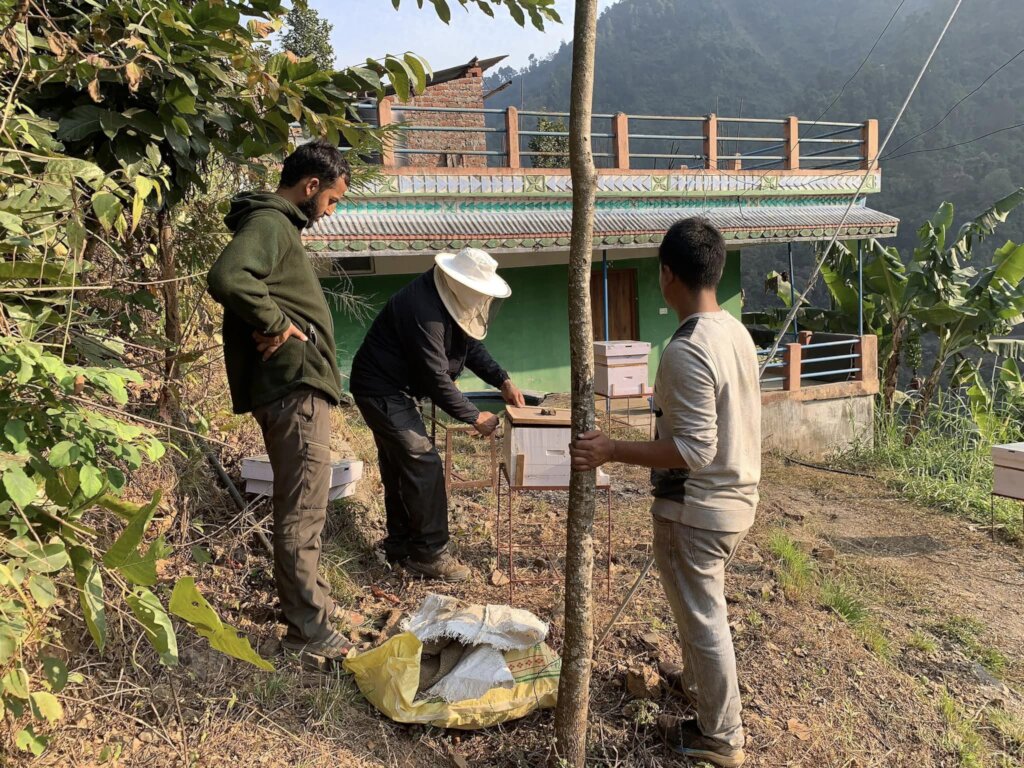 Beekeeping Initiative