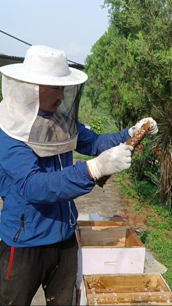Beekeeping Initiative