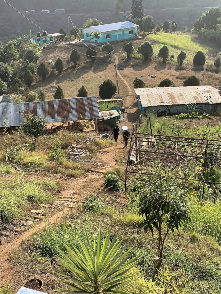 Beekeeping Initiative