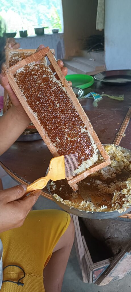 Beekeeping Initiative