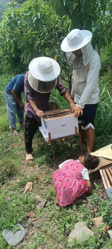 Beekeeping Initiative