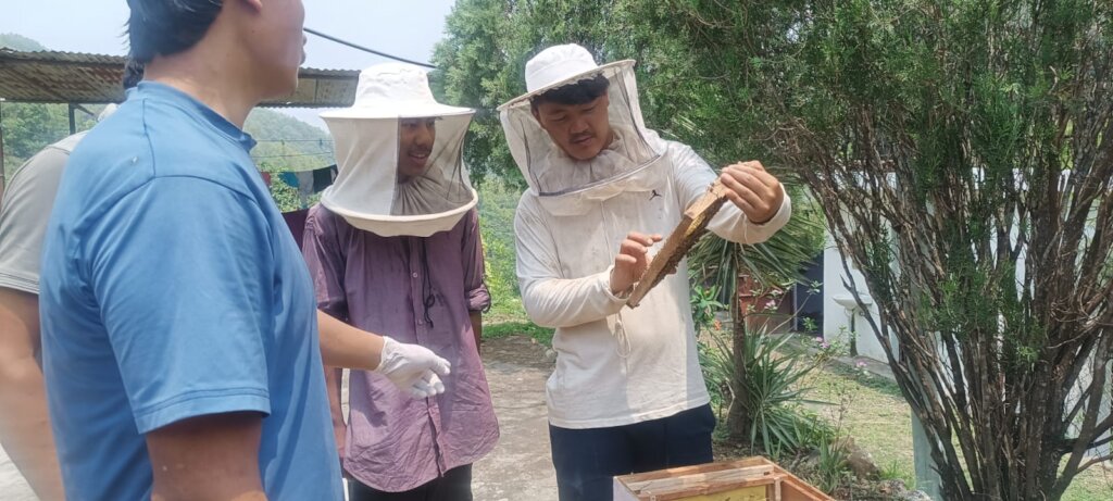 Beekeeping Initiative