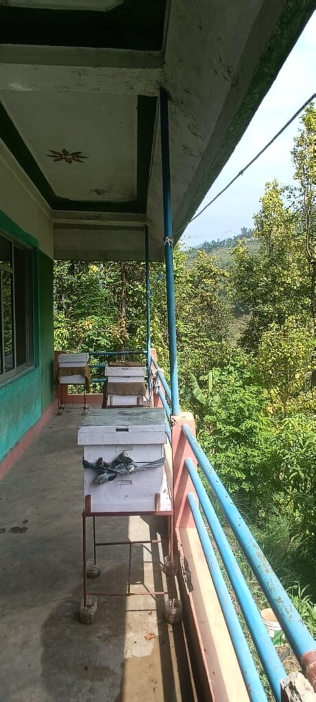 Beekeeping Initiative