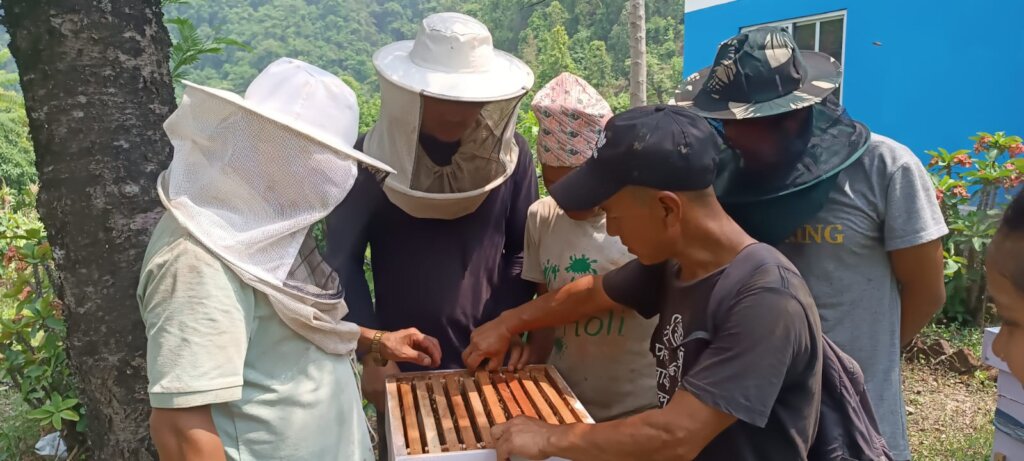 Beekeeping Initiative