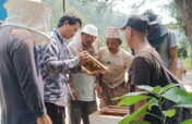 Beekeeping Initiative