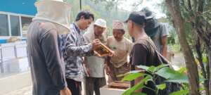Beekeeping Initiative