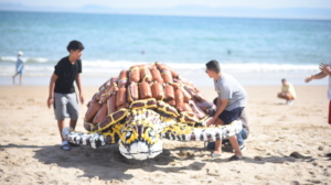 Art: Turtle made of plastics