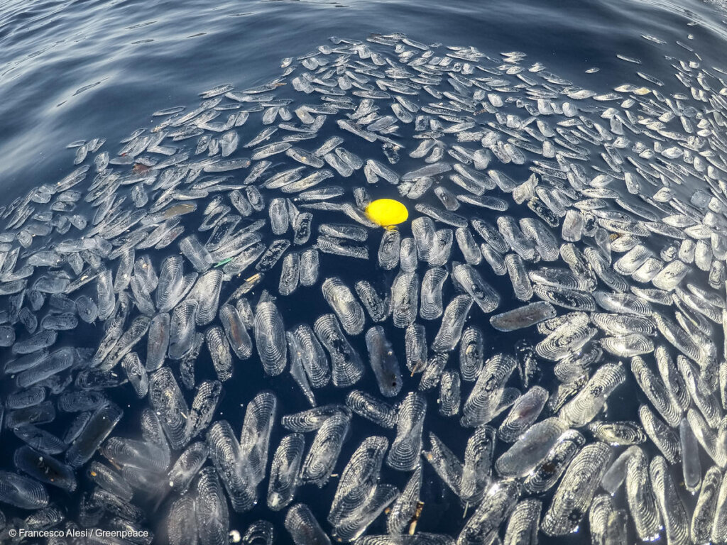 Support us in battle against single-use plastic