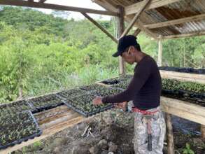 Food supply improvement