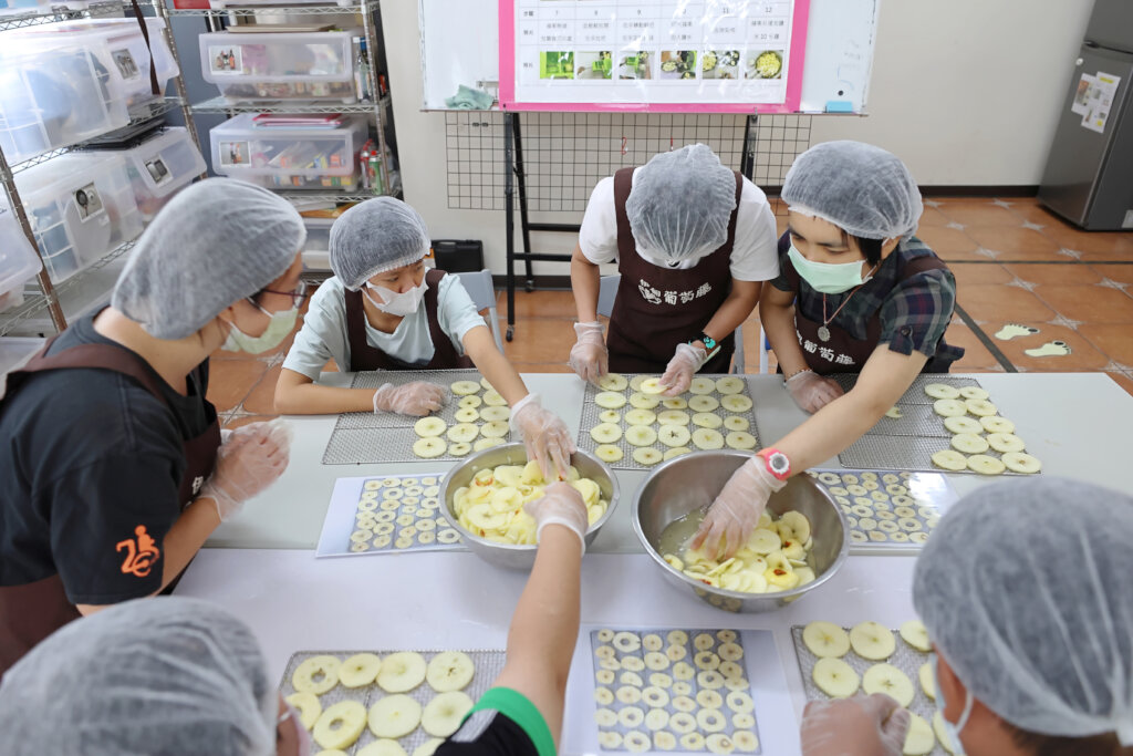 Long-term Care Project for the Disabled People