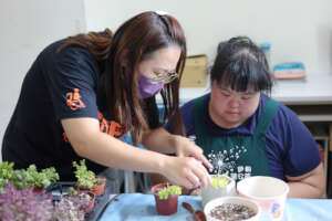 Long-term Care Project for the Disabled People