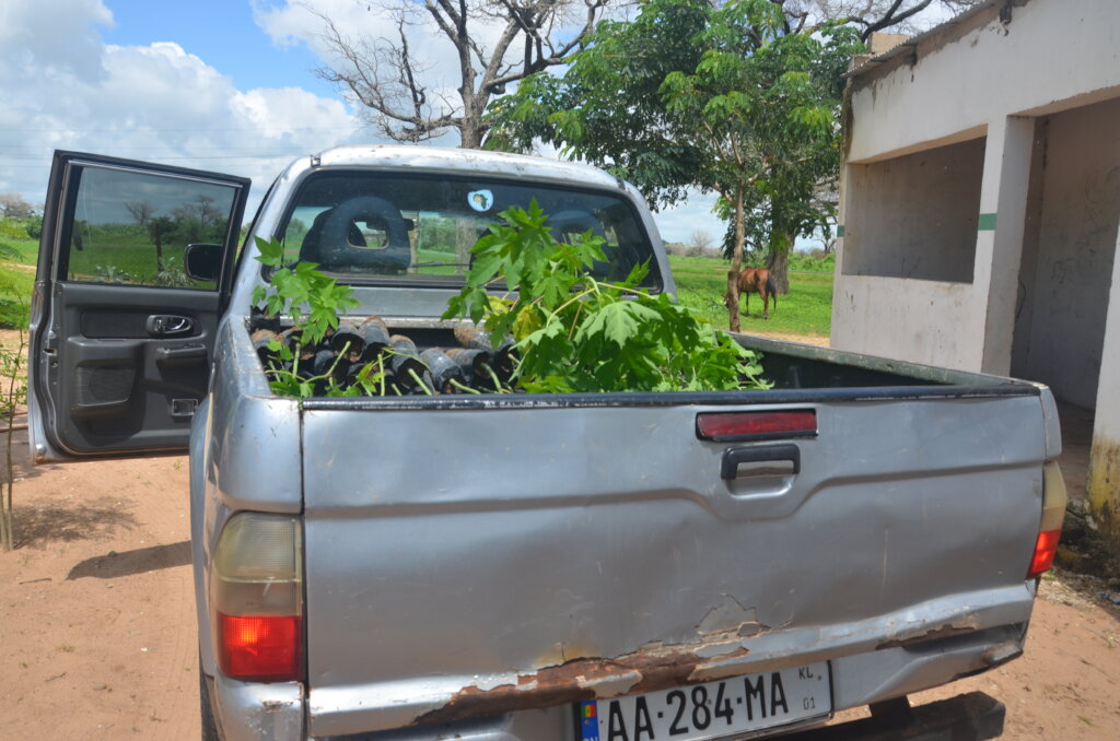 Drive CREATE! Team's Success