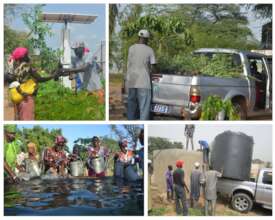 Drive CREATE! Team's Success