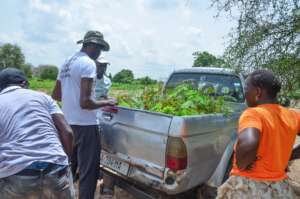 Carrying saplings for the reforestation project