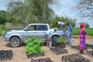 The old truck still doing it's job