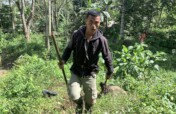 One thousand home gardens for food security