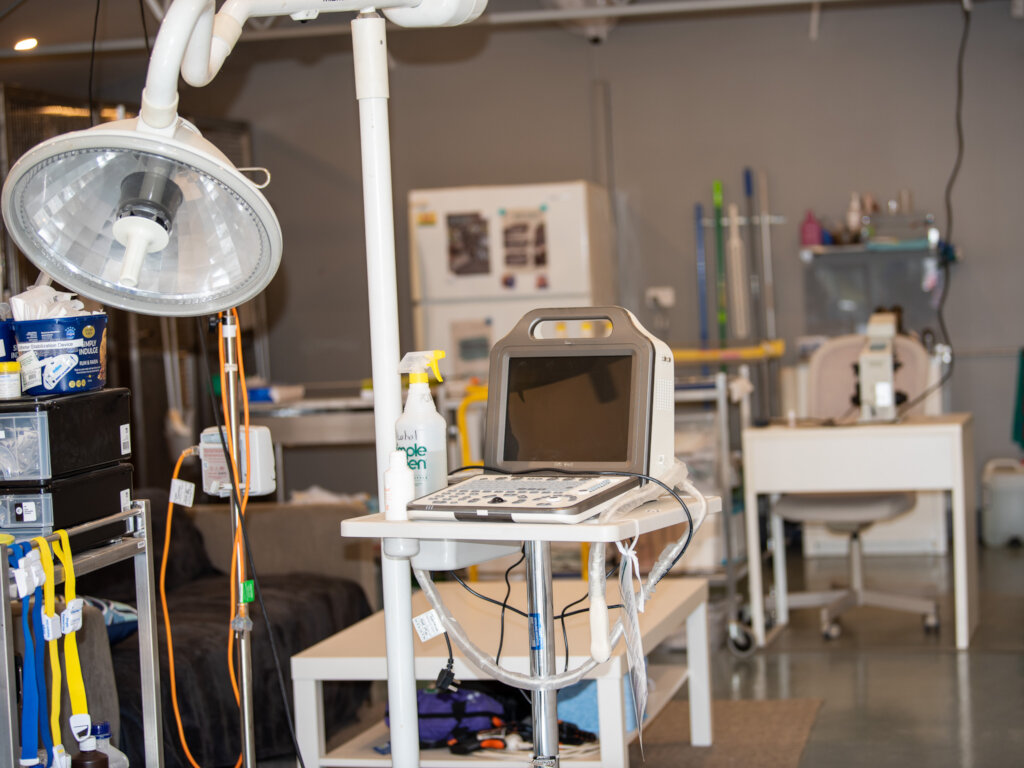 Our critical care wildlife need you!